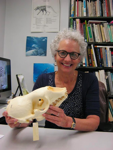 Doctor Annalisa Berta holding an animal skull model