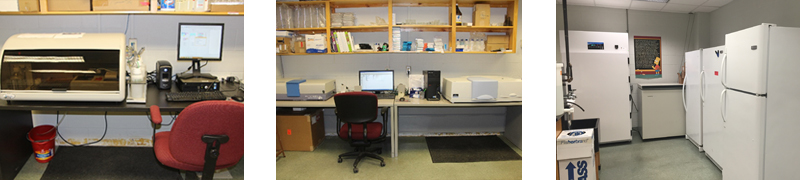 Equipment in the Remote Sensing laboratory; left: Lambda 850 spectrophotometer, which is used for absorption measurements and Horiba Jovin Yvon Fluoromax-4 spectro-fluorometer for fluorescence measurements; center: Cyanotoxin Automated Assay System (CAAS); right: algal growth chamber for algal culturing and ultra-low temperature freezer and refrigerators for sample storage. 