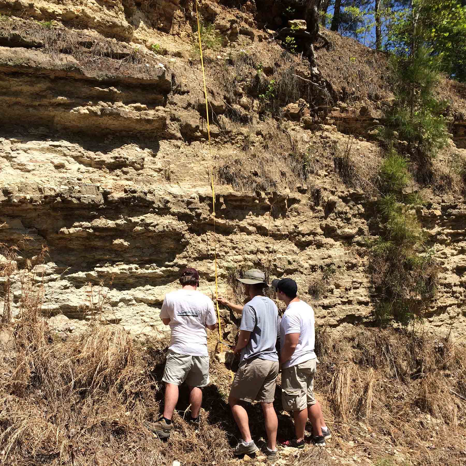 Students examine an Eocene marine marginal deposit outcrop
