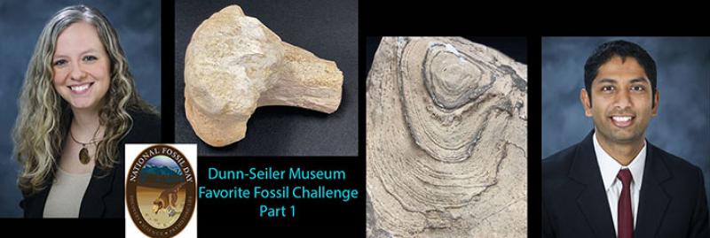 National Fossil Day 1