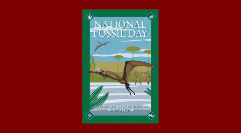 National Fossil Day: Discovery, Science, Prehistoric Life
