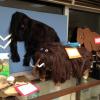 Winning contest entries (mammoths and other extinct animals) on display in the Dunn-Seiler museum