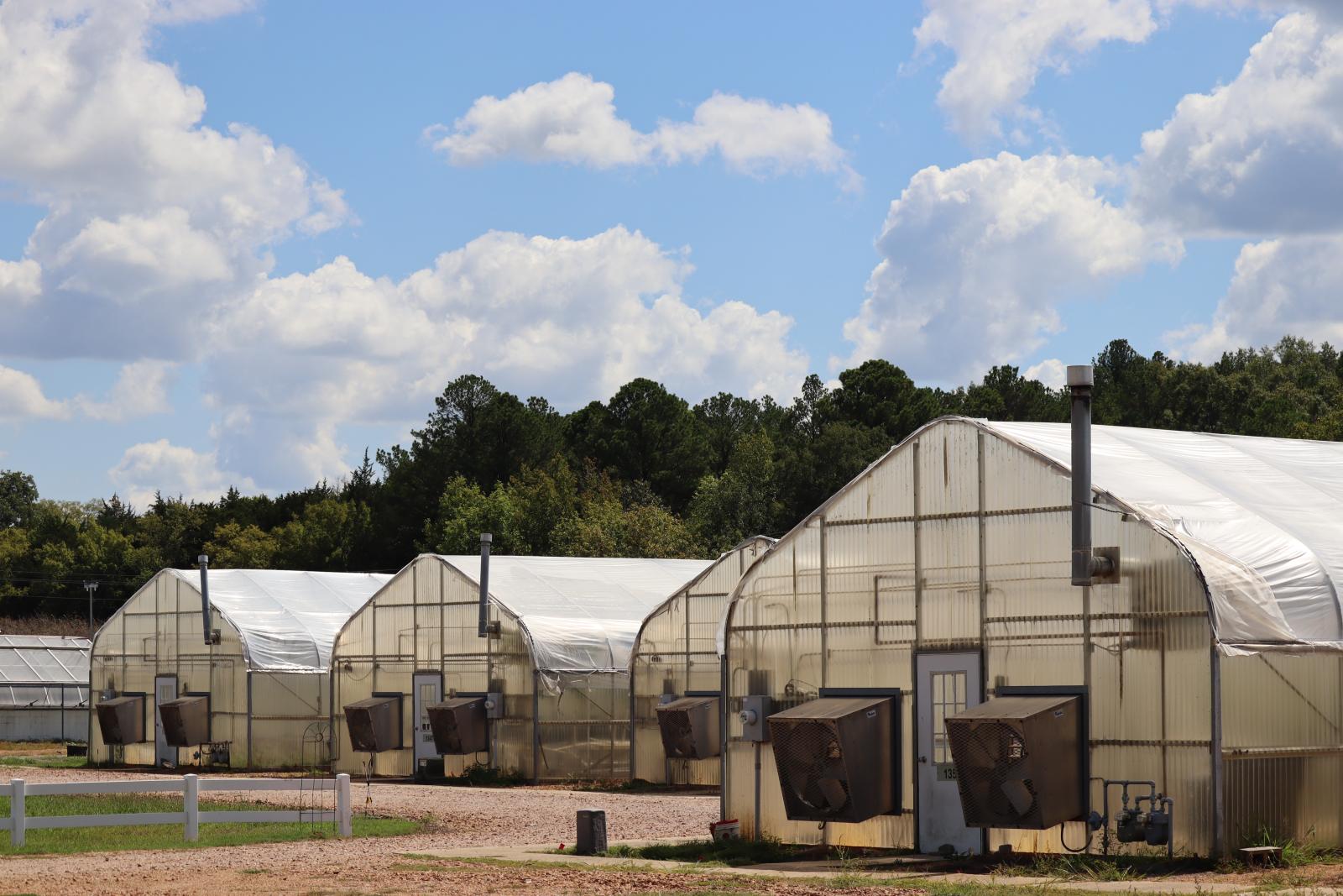 Alliance-Field-Day_09-20-2024_MSU-North-Farm_02