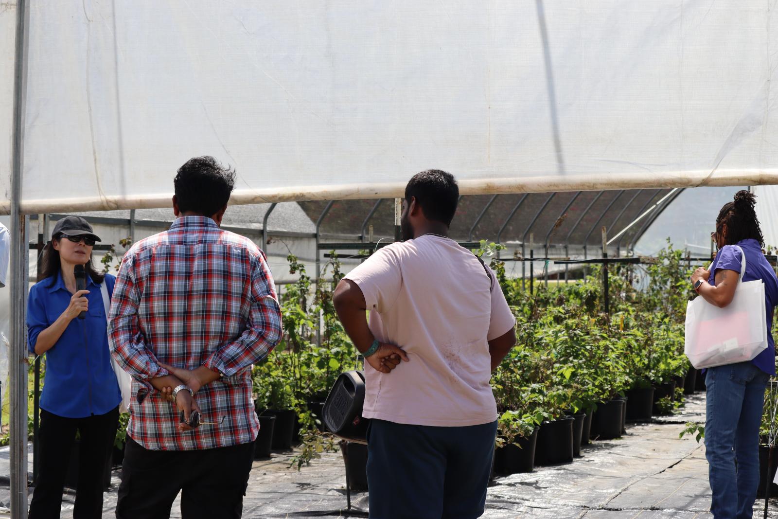 Alliance-Field-Day_09-20-2024_MSU-North-Farm_04