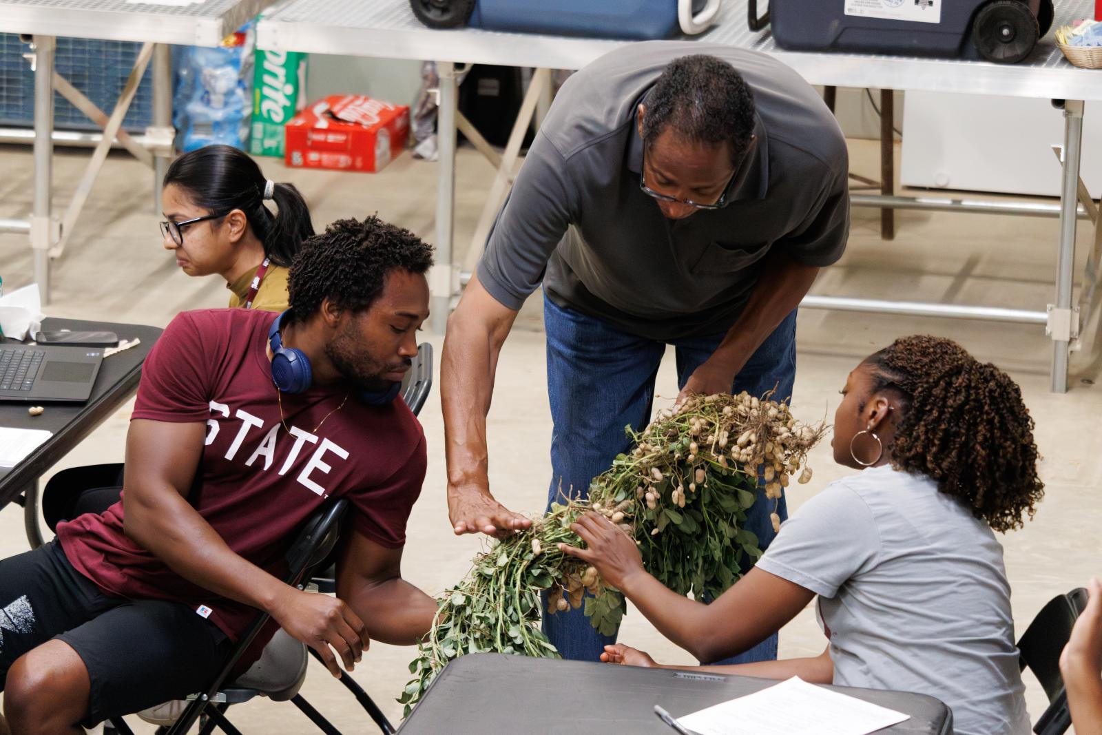 Alliance-Field-Day_09-20-2024_MSU-North-Farm_10